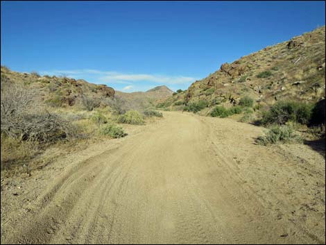 Cedar Basin Road