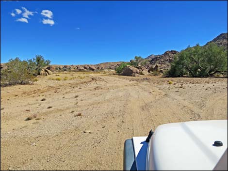 Gold Butte Peak Road