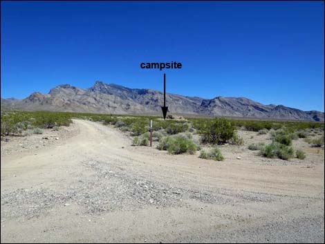 Gold Butte Road