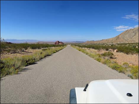 Gold Butte Road