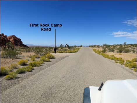 Gold Butte Road