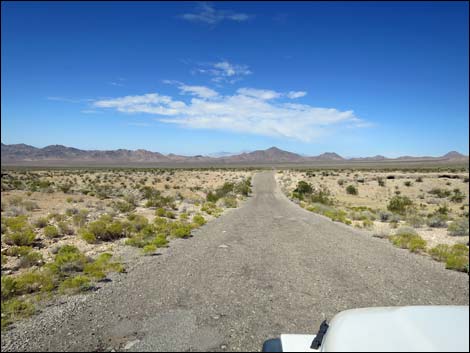 Gold Butte Road