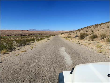 Gold Butte Road