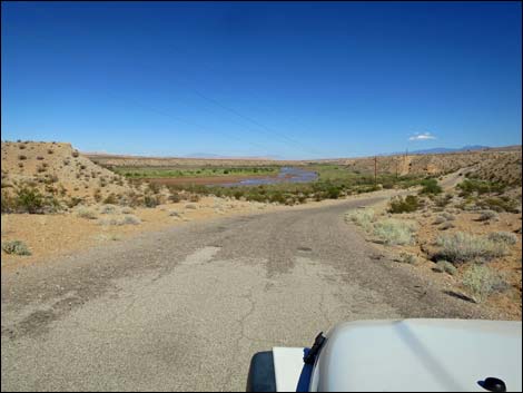 Gold Butte Road