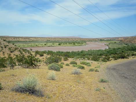 Gold Butte Road