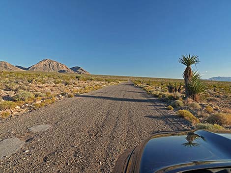 Gold Butte Road