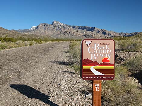 gold butte road