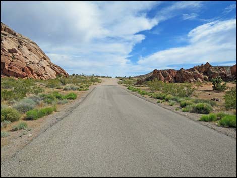 Gold Butte Road