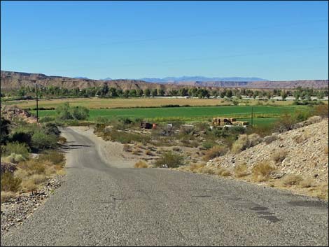 Gold Butte Road