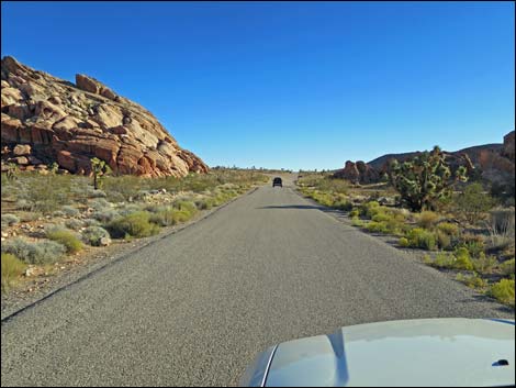 Gold Butte Road