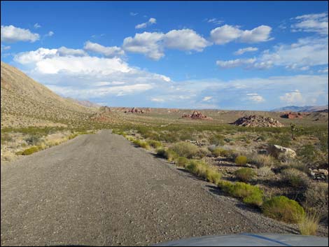 Gold Butte Road