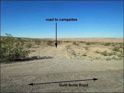 Gold Butte Road