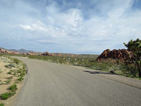 Gold Butte Road