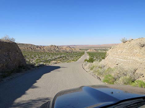 Gold Butte Road