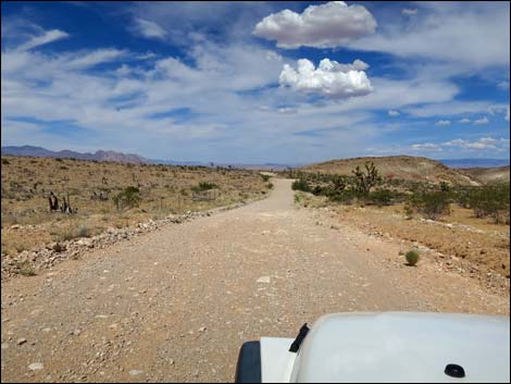 Gold Butte Road