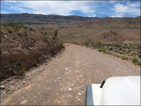 Gold Butte Road