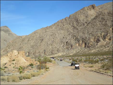 Gold Butte Road