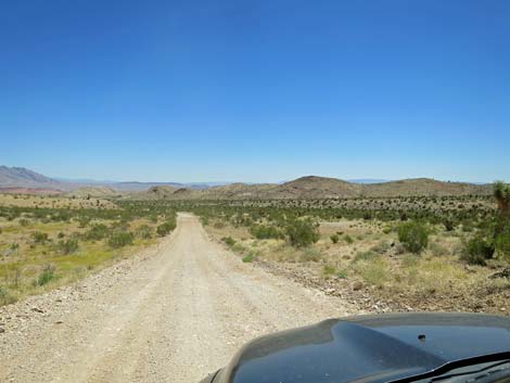 Gold Butte Road