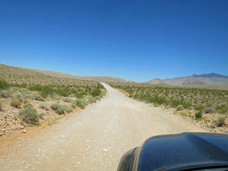 Gold Butte Road