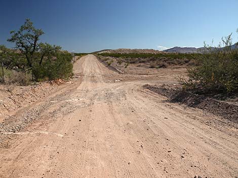 Gold Butte Road