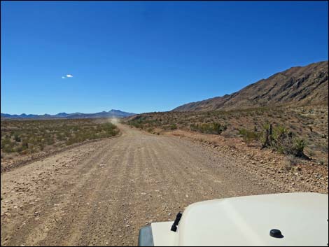 Gold Butte Road