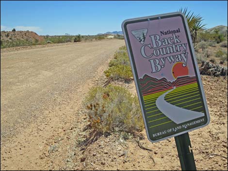 Gold Butte Road