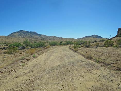 Gold Butte Road