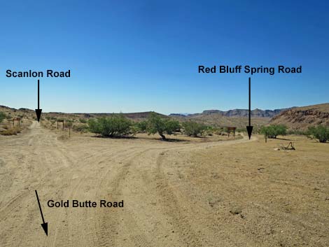 Red Bluff Spring Road