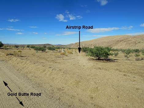 Gold Butte Road