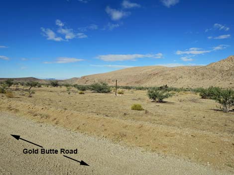 Gold Butte Road