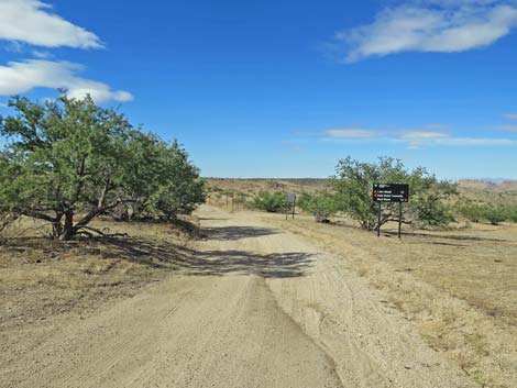 Gold Butte Road