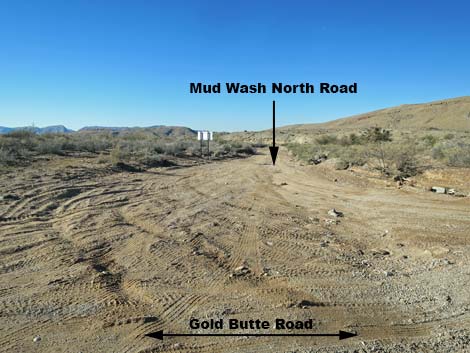 Gold Butte Road