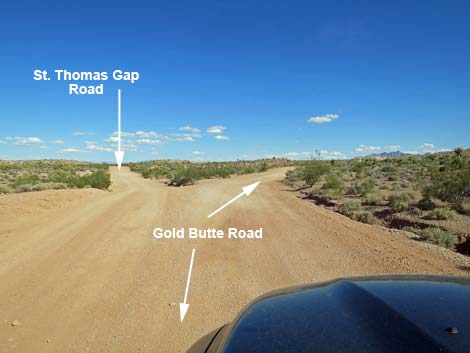 Gold Butte Road