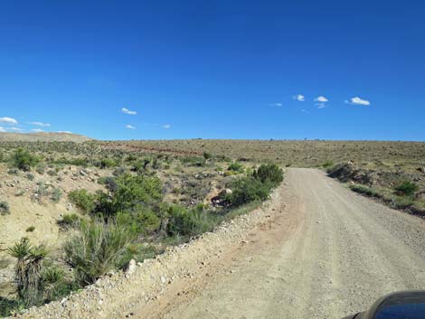 Gold Butte Road