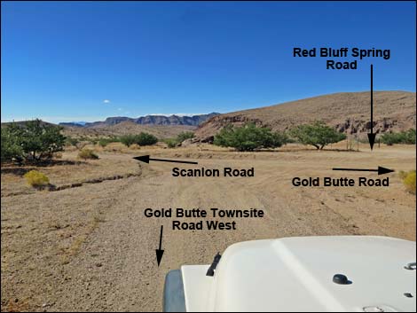 Gold Butte Townsite Road