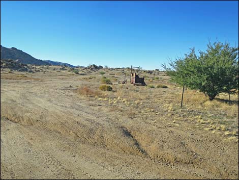 Gold Butte Townsite