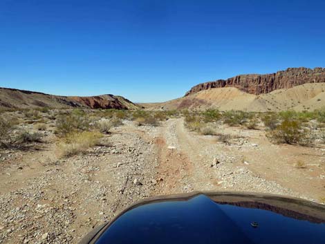 Gold Butte Wash Road