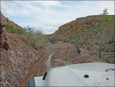 Gold Butte Wash Road