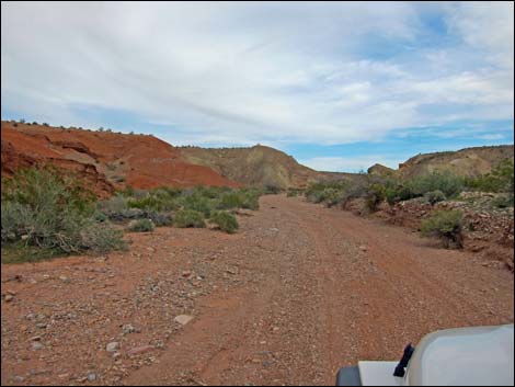 Gold Butte Wash Road