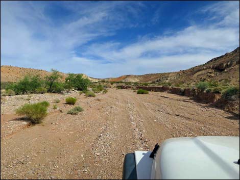 Gold Butte Wash Road