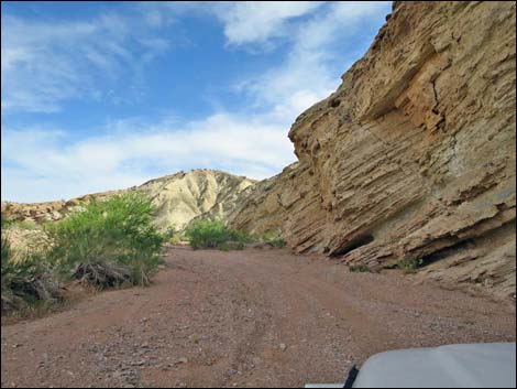 Gold Butte Wash Road