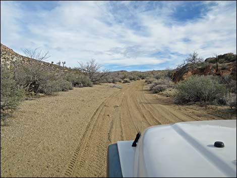 Garden Corral Road