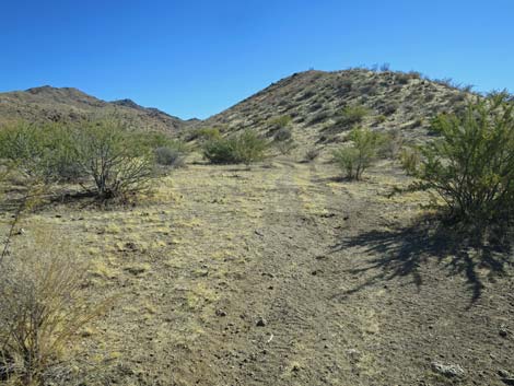 Garnet Valley Road