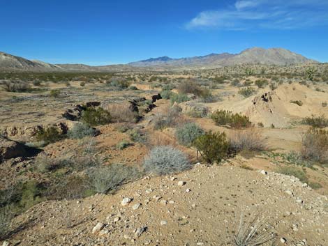 Greasewood Basin East Road