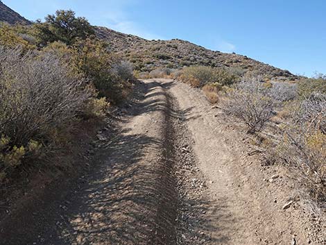 Hen Spring Canyon Road