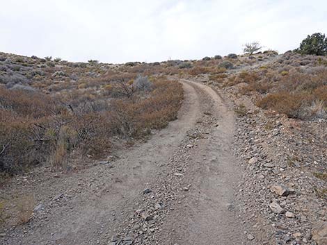 Hen Spring Canyon Road