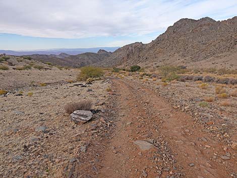 Hen Spring Canyon Road