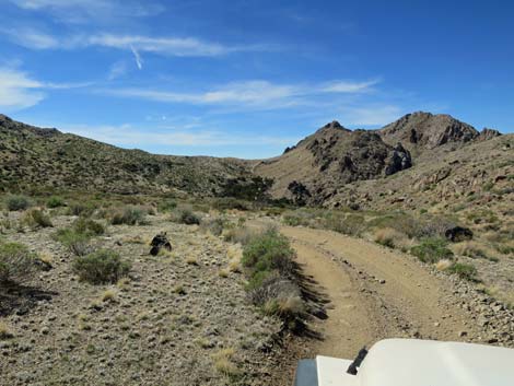 Hen Spring Canyon Road