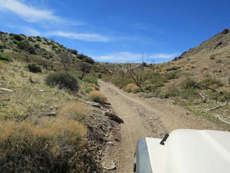 Hen Spring Canyon Road