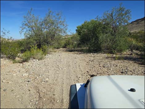 Horse Spring Road